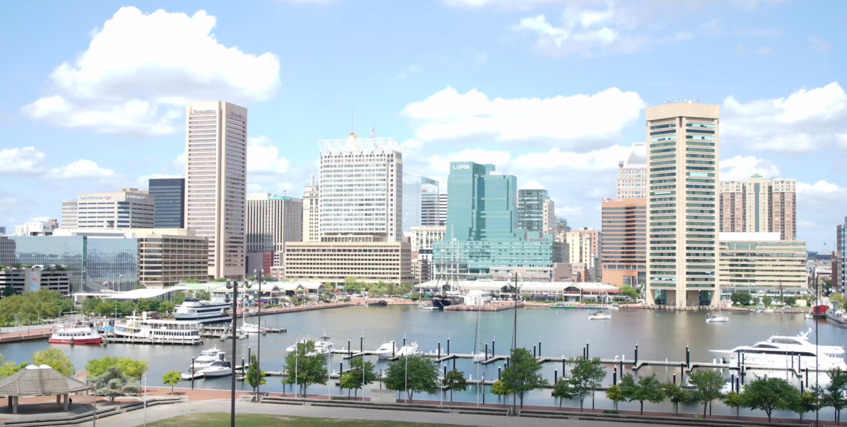 Baltimore Inner Harbor on a sunny day.