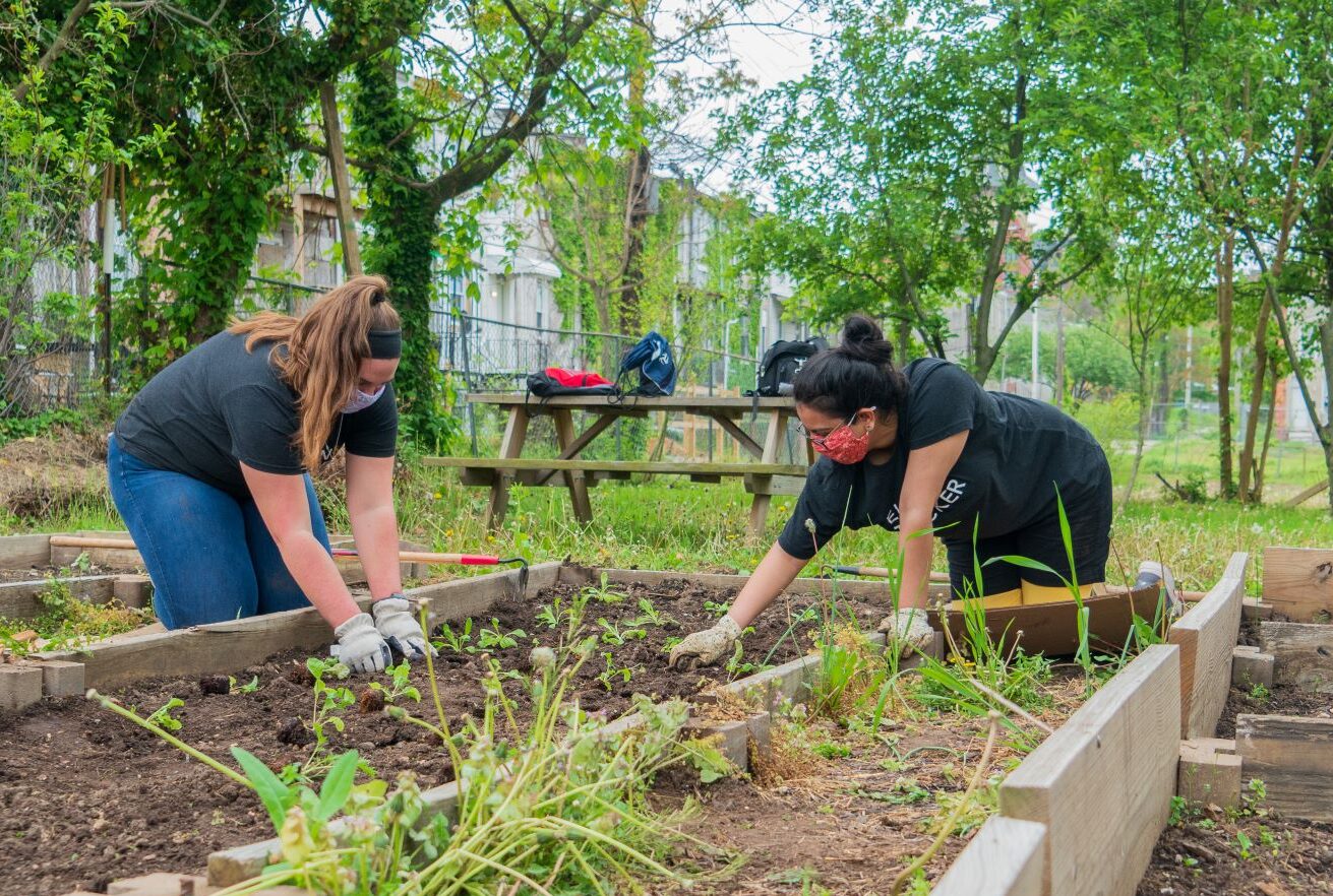 Ellin & Tucker Employee pull weeds and garden.