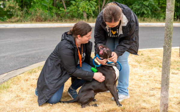 Colleen McNulty and Makayla Mullikin crouch down to pet a black dog at BARCS.